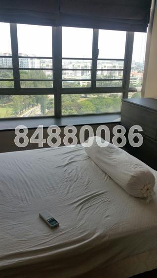 The Lakeshore thumbnail photo